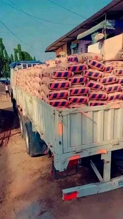 Ciment Extra Haute Qualité