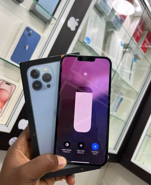 iPhone 13 Pro Max 256Go Gris Sidéral