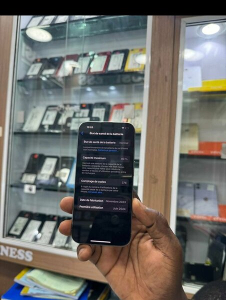 iPhone 13 Pro Max Gris