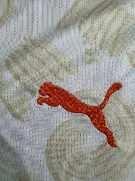 Maillot Côte d'Ivoire Puma