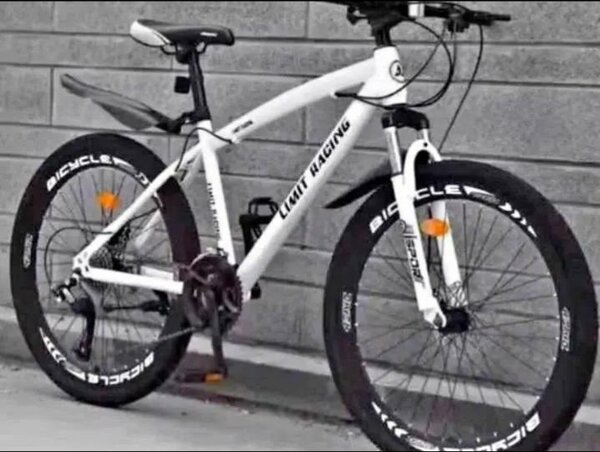 Vélo de montagne léger