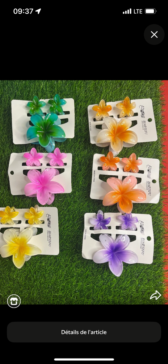 Pinces à Cheveux Fleurs Colorées