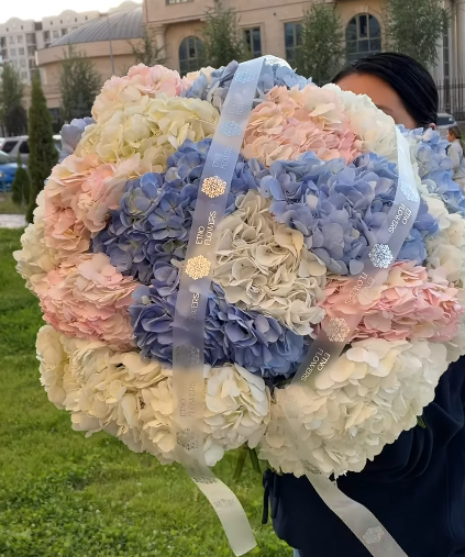 Роскошные гортензии