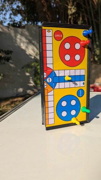 Magnetic ludo