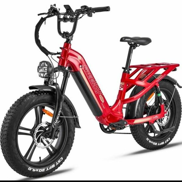 Vélo Électrique Tout-Terrain