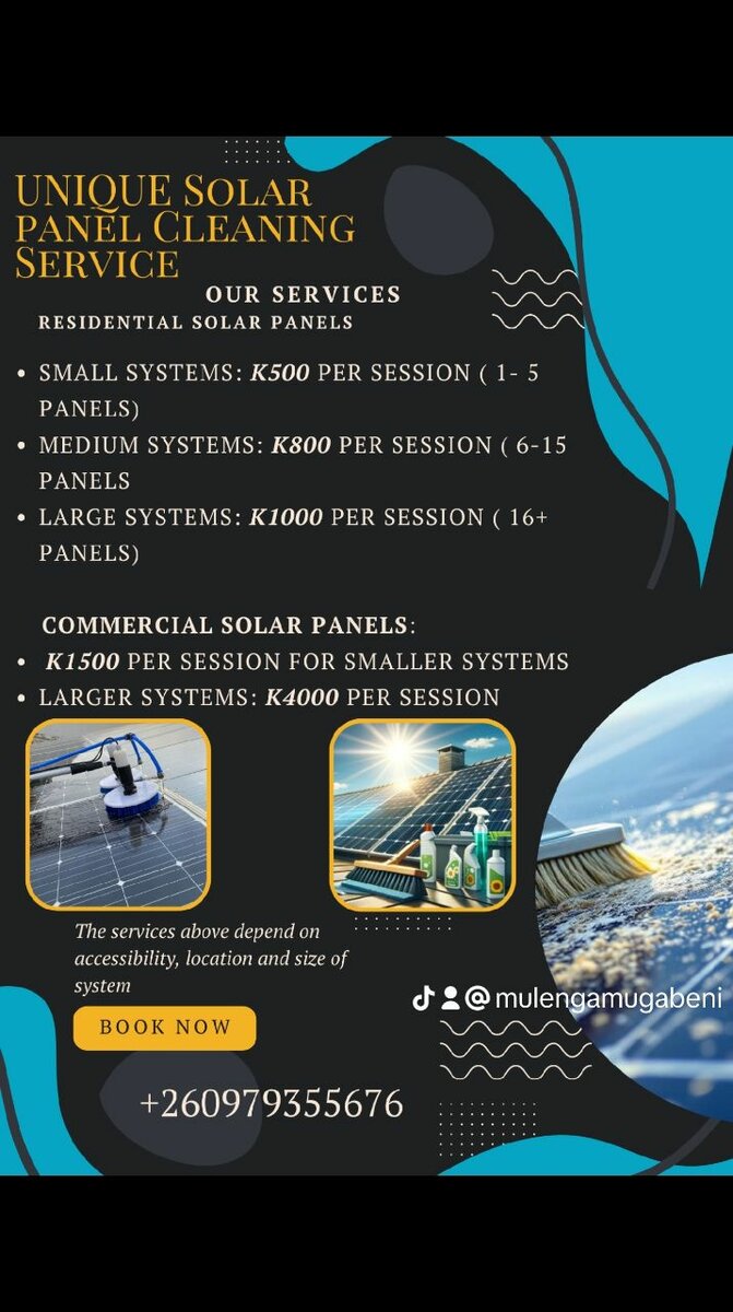 Solar Panel Cleaning Service