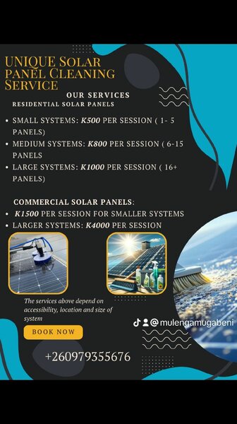 Solar Panel Cleaning Service