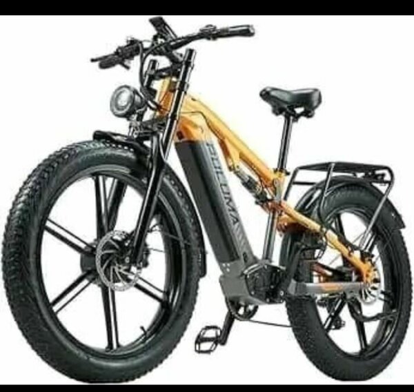 Vélo électrique tout terrain