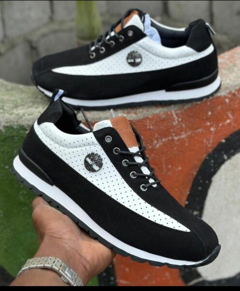 Chaussure Timberland