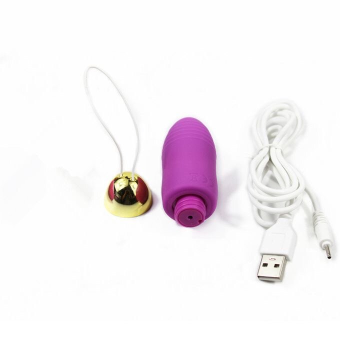 Oeuf vibrant rechargeable USB