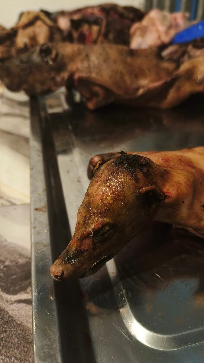 Kedjenou de viande de brousse