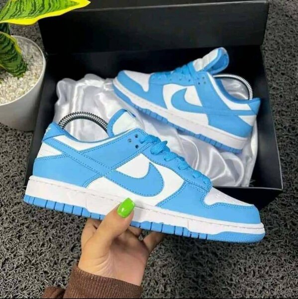 Nike SB Dunk Low