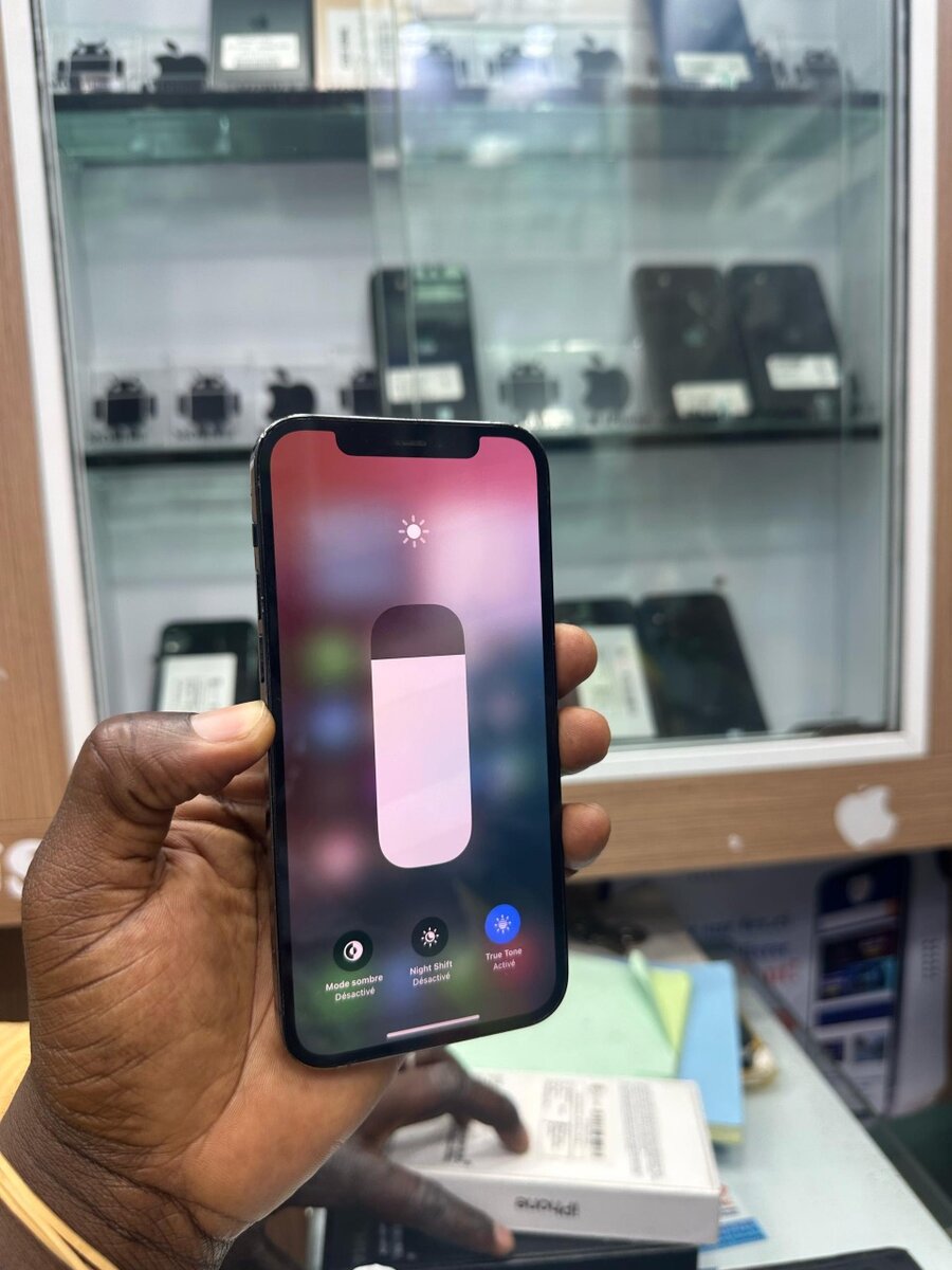 12 pro 256giga tout est dorig