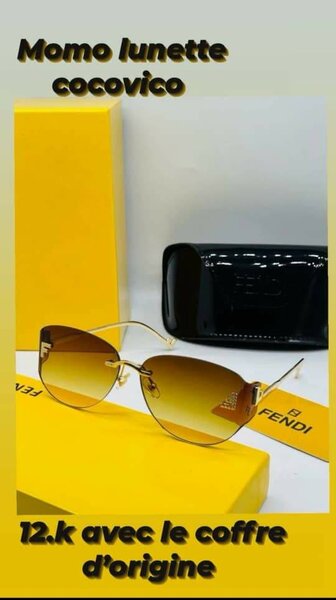 Lunettes de Soleil Fendi Élégantes