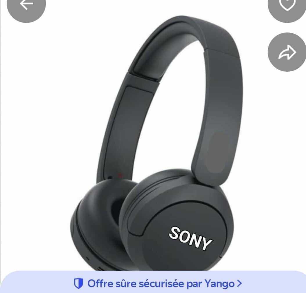 Sony WH-CH520 Casque Audio