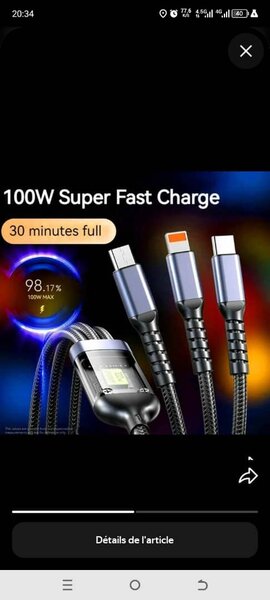 Câble de Charge 100W Rapide