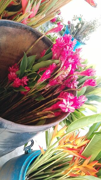 Bouquet tropical de fleurs exotiques