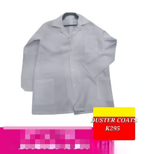 duster coat costume for a career day at a masquerade