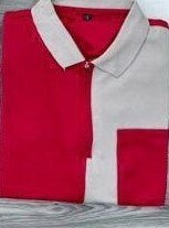 Beautiful and stylish Polo shirt