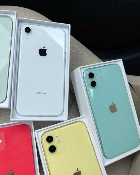 iPhone 11 Couleurs Variées
