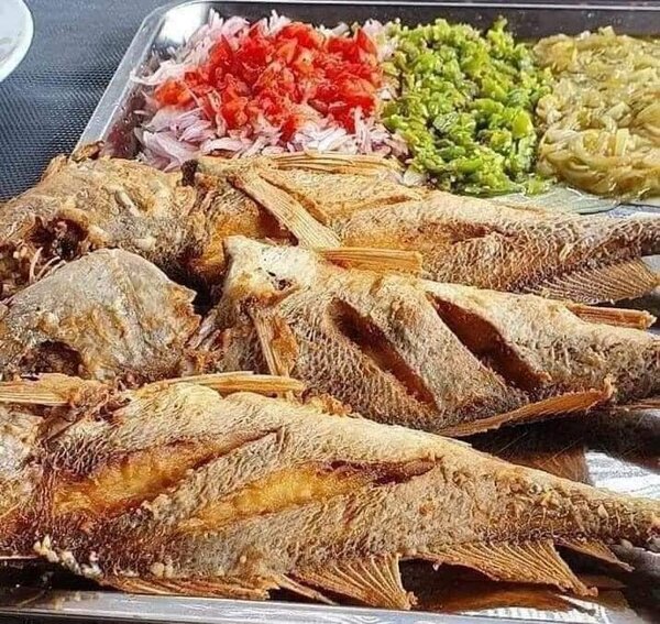 Poisson et accompagnement