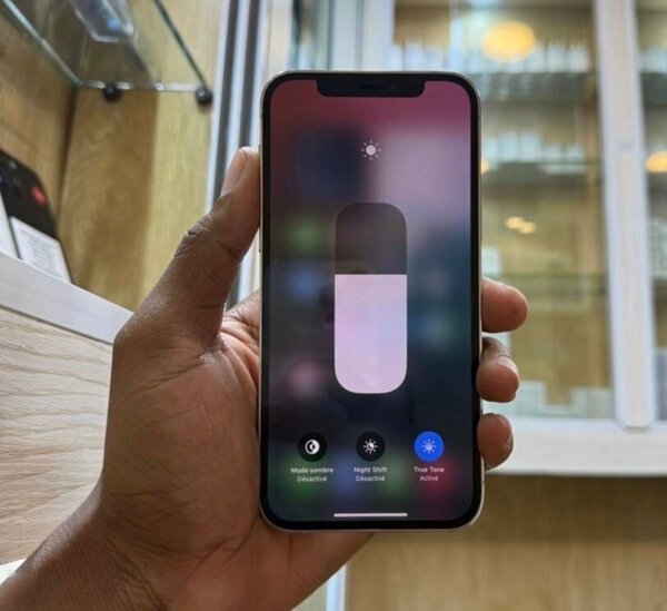 iPhone 12 Pro Max Blanc 128 Go