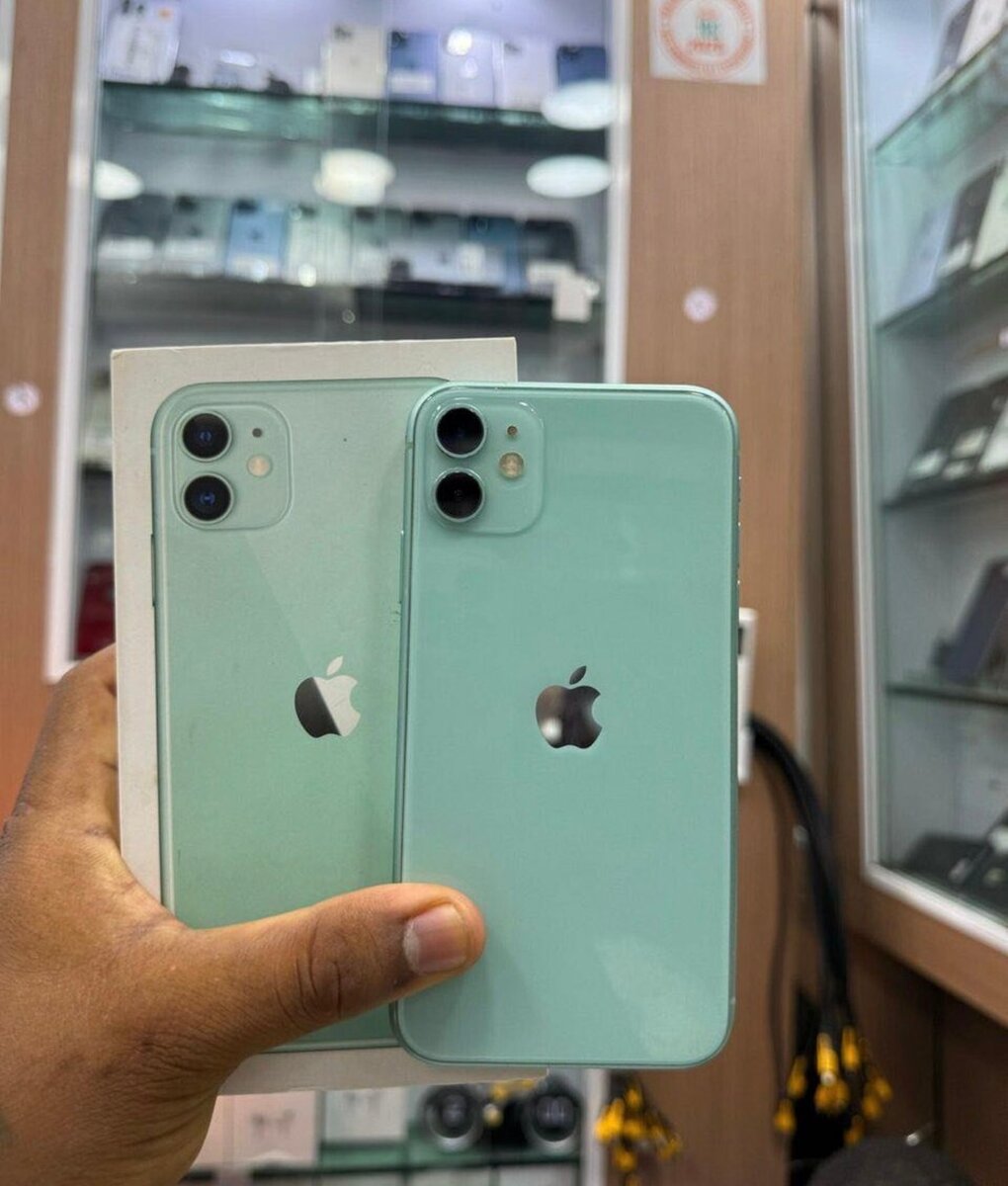 iPhone 11 Vert 128Go