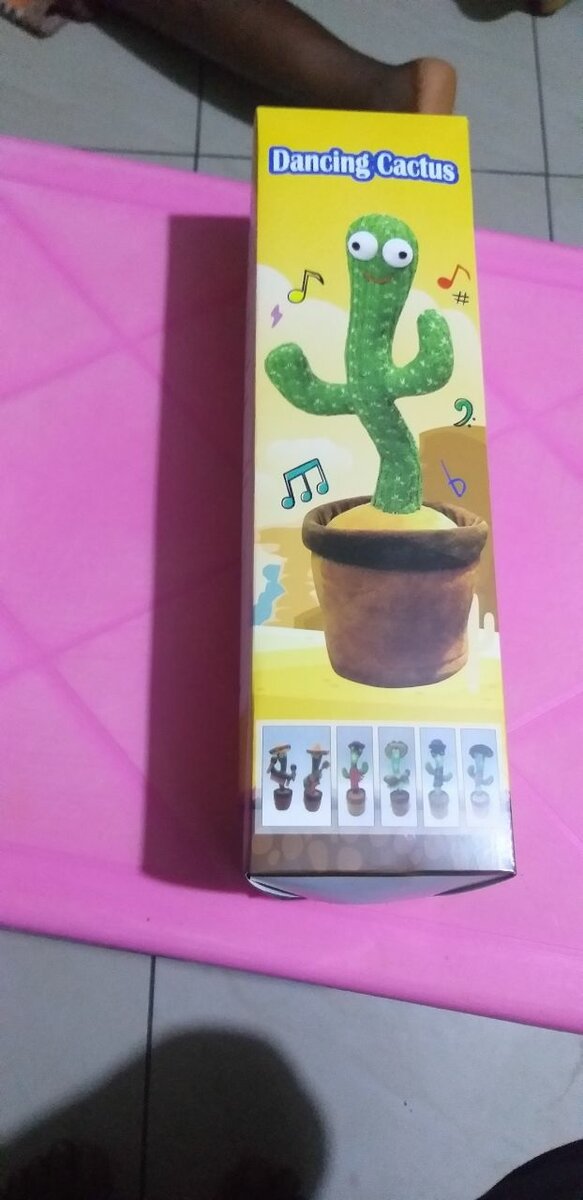 Cactus dansant musical