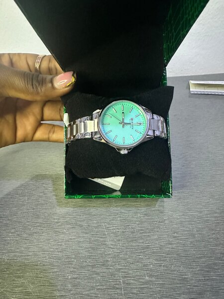 Montre élégante en acier inoxydable