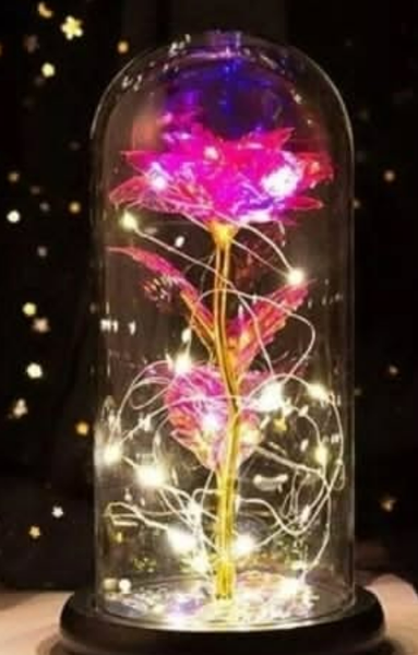 Розы под стеклянным куполом, 🌹роза которая не завянет и будет очень долго радовать глаза😍
