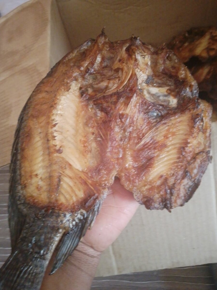 Semi dry Moto moya fish