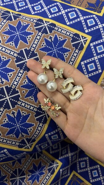 Earrings