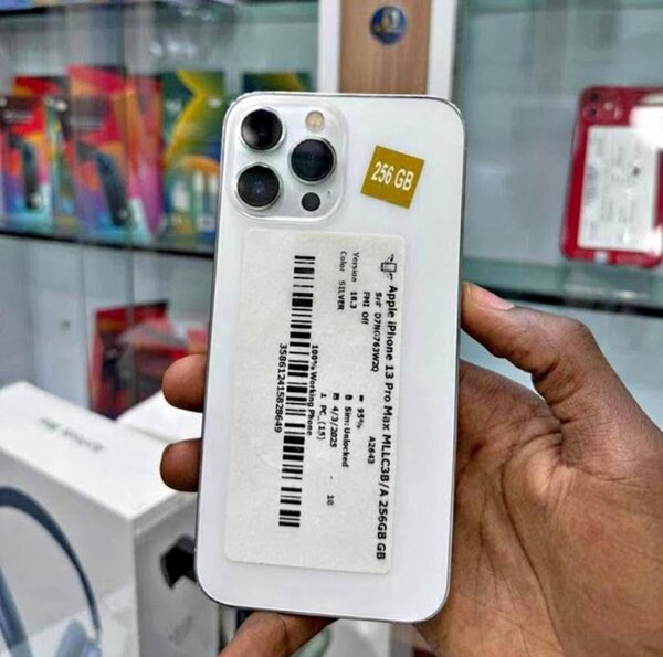 iPhone 13 Pro Max 256GB