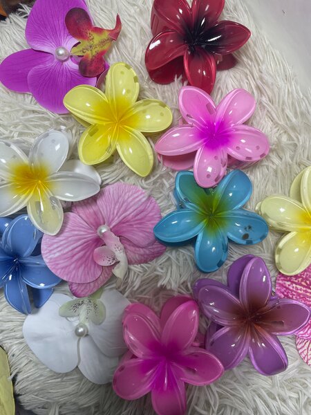 Pinces à cheveux fleurs colorées