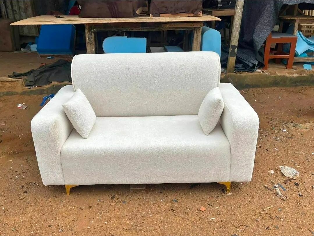 Canapés élégants pour salon