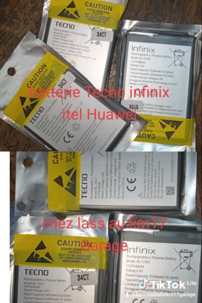 Batterie de téléphone mobile