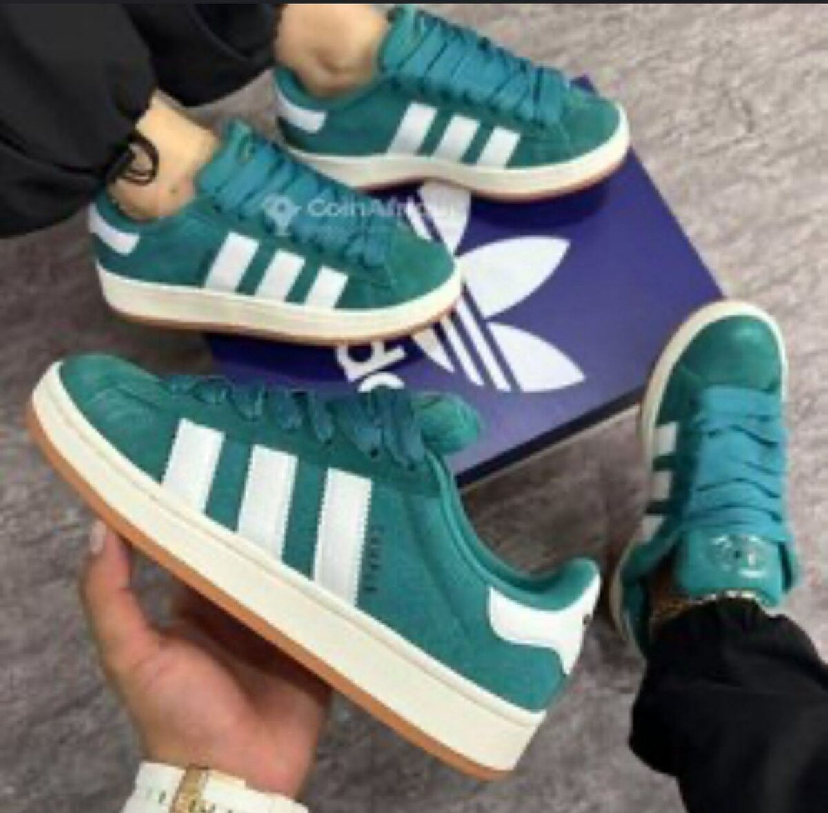 Sneakers Adidas Campus