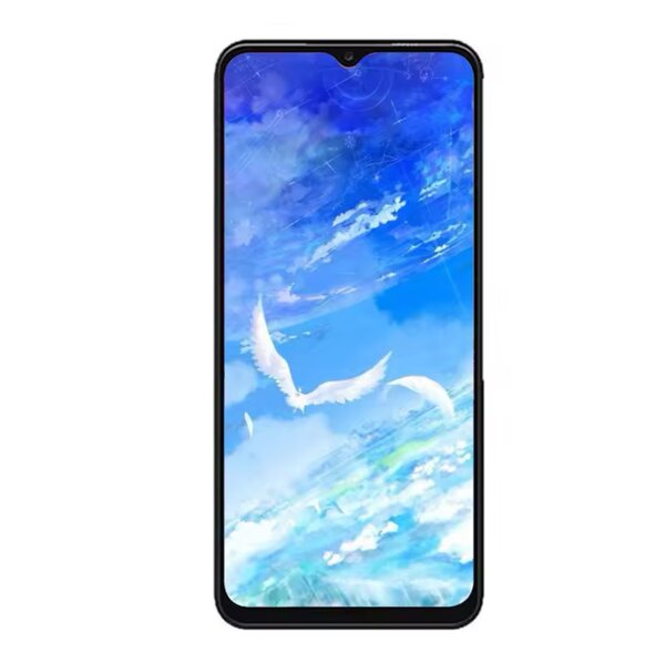 Écran Samsung A13