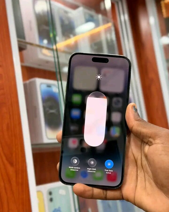 iPhone Pro Max 256GB