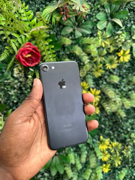 iPhone 7 simple