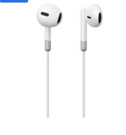 Earphones
