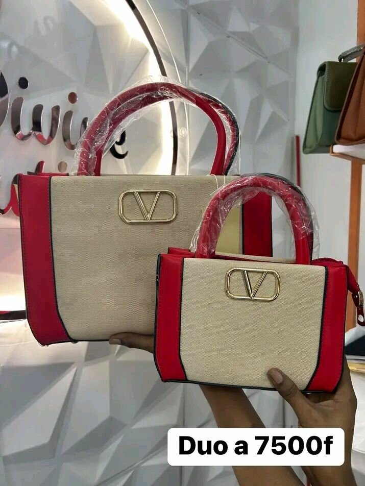 Duo de sacs élégants