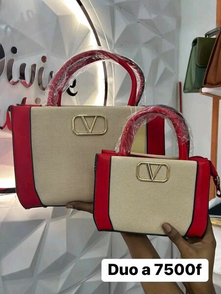 Duo de sacs élégants