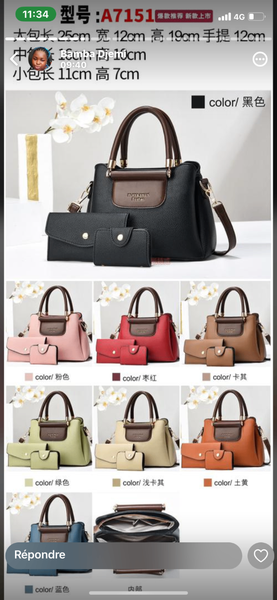 Sac à mains 2 en 1 pour femme