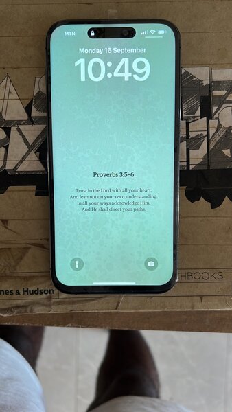 iPhone 14 Pro Max LCD screen