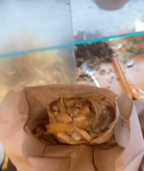 Panini complet 6000f