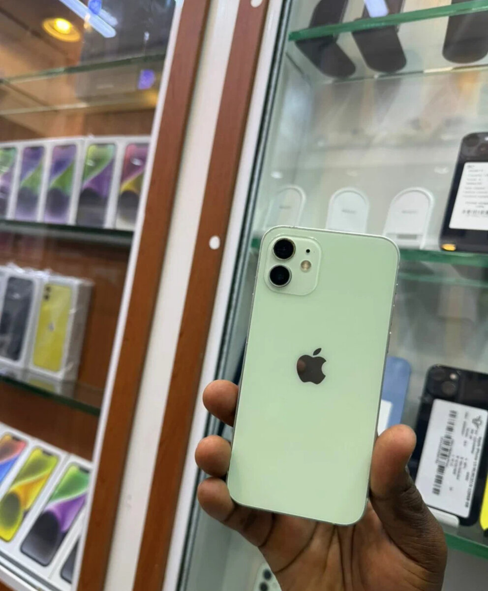 iPhone 12 Vert Neuf