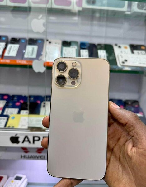 iPhone 13 Pro Max