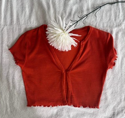 Orange crop top 