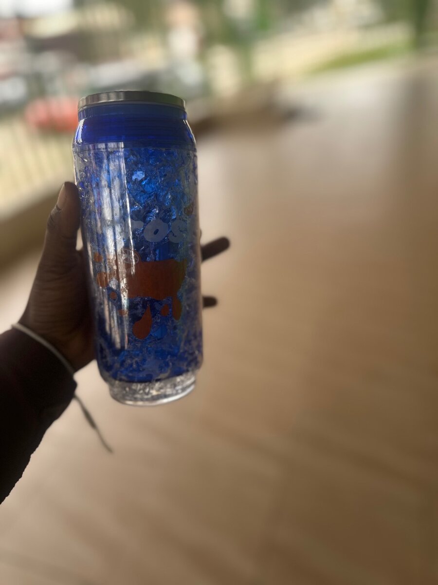 Bouteille Isotherme Bleue 500ml